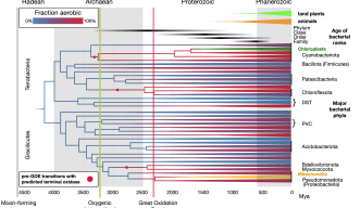 Molecular clock analysis shows bacteria used oxygen long before